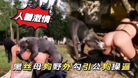 黑丝母狗野外勾引公狗操逼#白虎#人妻#舔逼#蝴蝶结#狗狗#性交